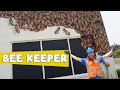 Handyman Hal learns about Bees | Bee Keeper for Kids