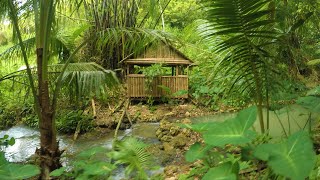 Ongon Water Source in Binabag, Sogod, Cebu