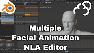 Facial Motion Capture - Multiple Animations Blender Facial Motion Capture - Multiple Animations Blender