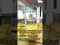 Unpacking Paper Bag with a Material Emptying Rate of 99% #machine #factory #powder#depalletzing
