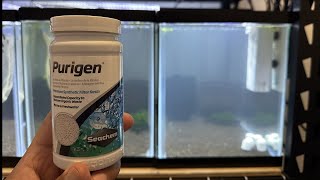 Using Seachem Purigen to clear up a cloudy tank