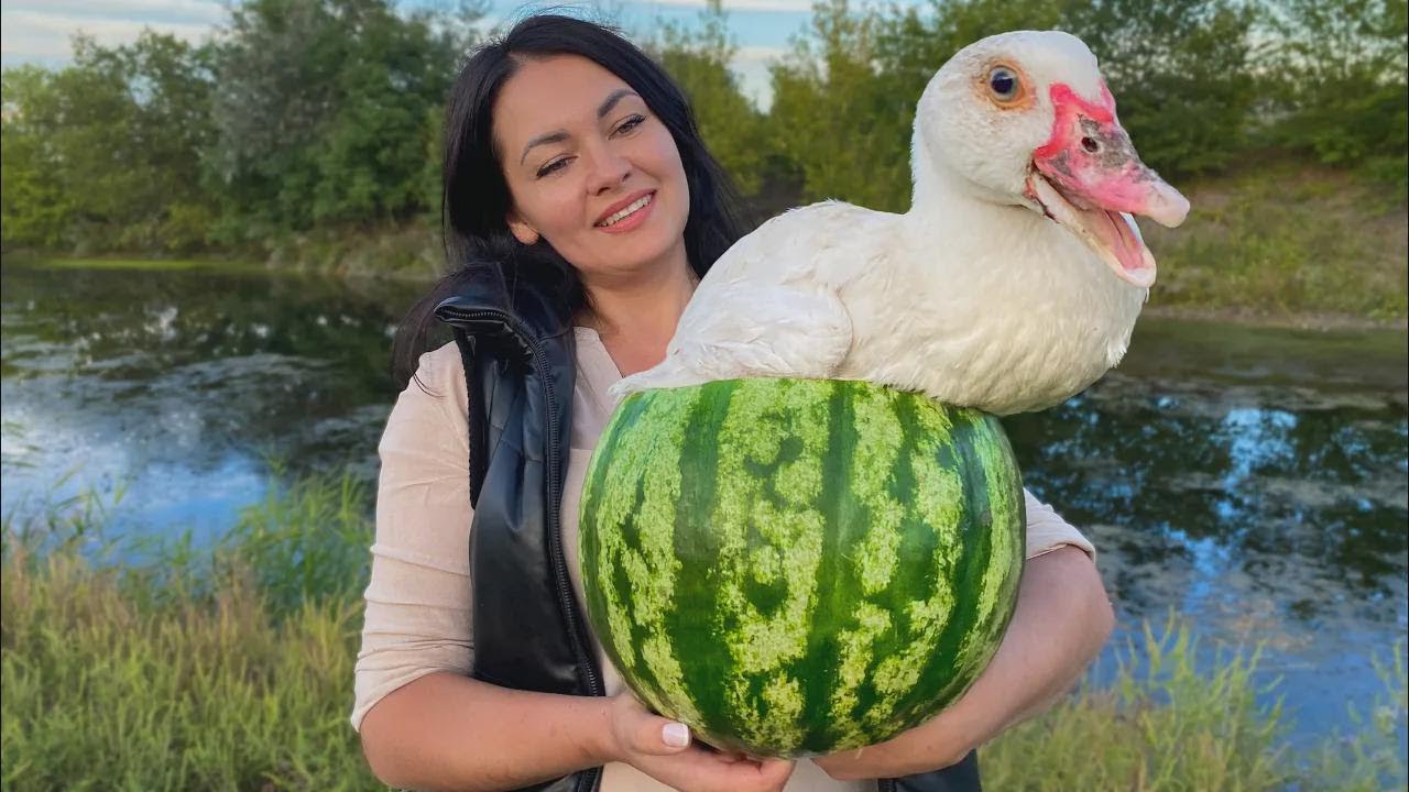 Kaczka z owocami w arbuzie pieczona w tandoorze! Przepis jak z bajki