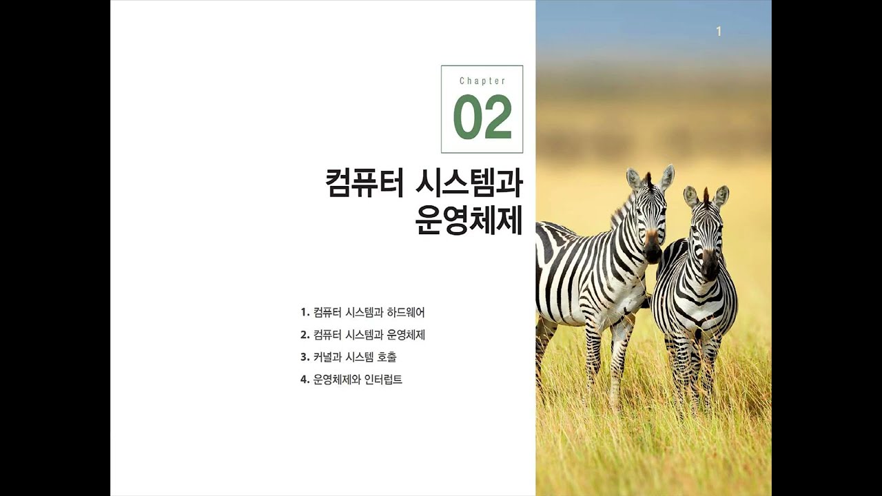 2장 컴퓨터 시스템과 운영체제