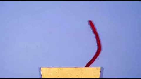 Kristina Morgan Vine(Ones)