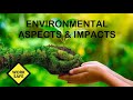 Identifying Environmental Aspects and Their Impact on Business Practices