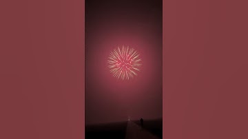 6" Display Shell Brocade to Blue to Red Strobe With Red Strobe Pistil