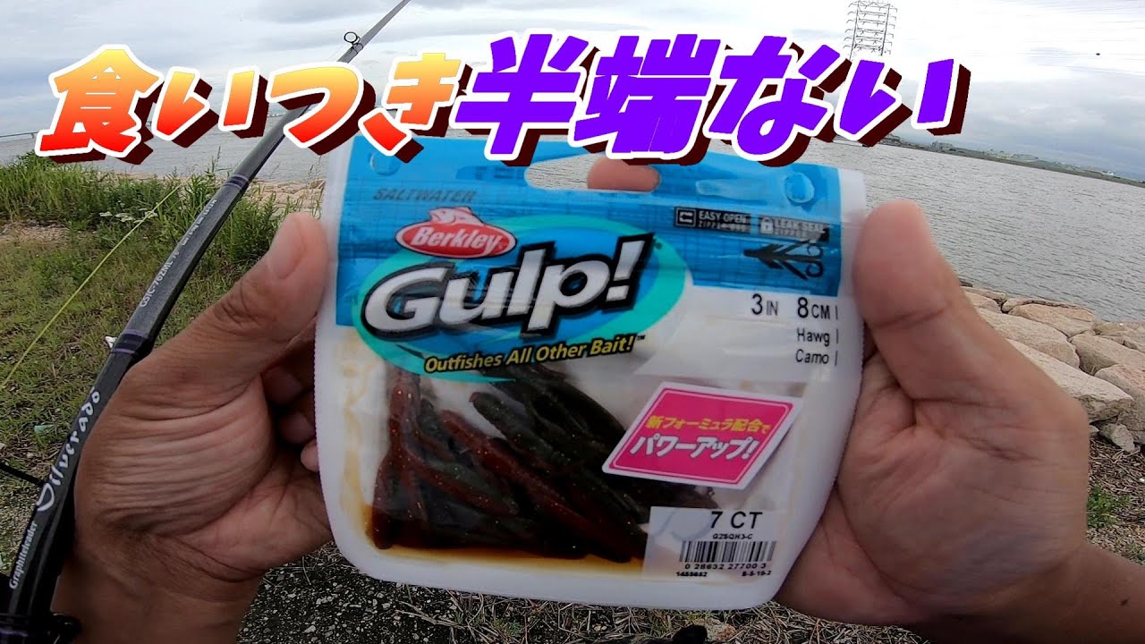 最強の集魚力をほこるワームガルプでチニングしたら思いもよらぬ結果に Youtube