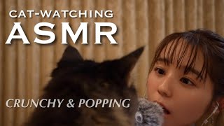 【ASMR】パチパチ音と猫と、ちょっと雑談🍬🐈💭(※咀嚼音苦手な方は閲覧注意です)