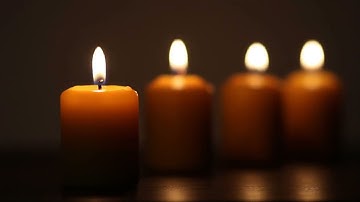 Cầu nguyện cùng Đức Giáo Hoàng ngày 26.8.2024 - Tông đồ cầu nguyện