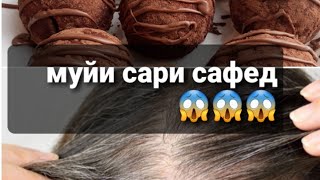 Табобати муйи сари сафед😱😱тухфа барои мардакм❤️❤️❤️Хурокхои гуногун 👩‍🍳👩‍🍳👩‍🍳