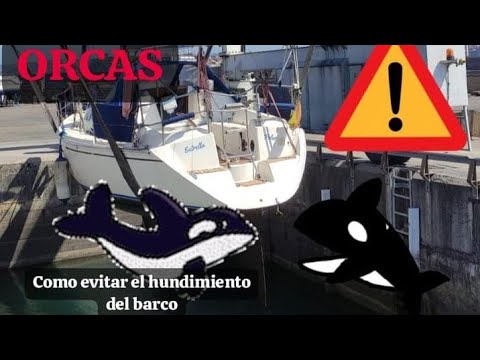 ⁣#84 ATAQUE DE ORCAS.COMO EVITAR EL HUNDIMIENTO POR VIA DE AGUA.