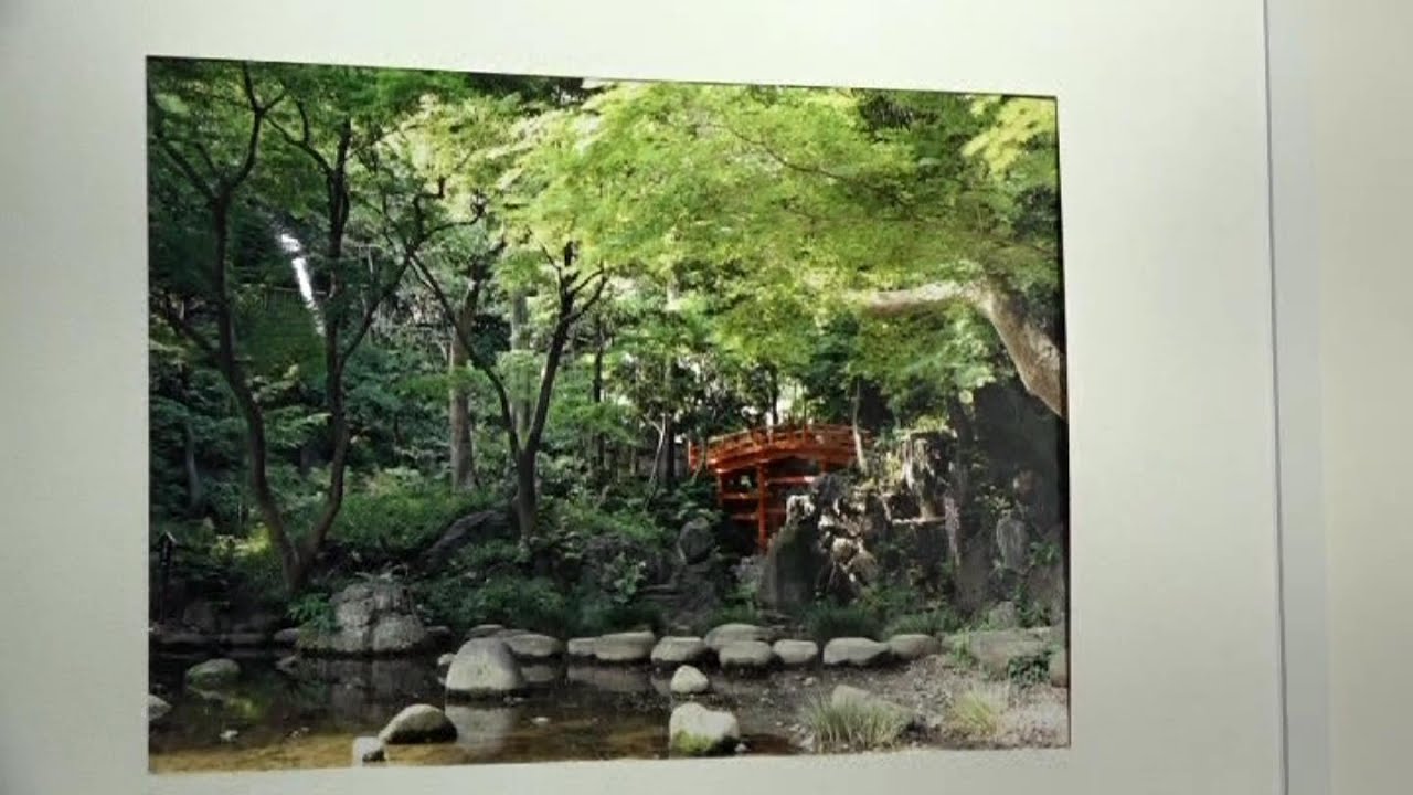 Tokyo Gardens in Sydney - YouTube