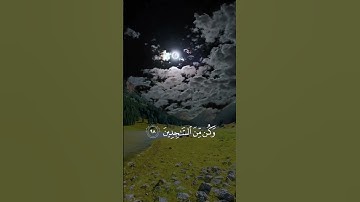 ولقد نعلم انك يضيق صدرك بما يقولون فسبح بحمد ربك وكن من الساجدين #تلاوات_خاشعة #اكتب_شي_تؤجر_عليه