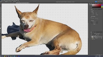 Image & Video Foundations- Photoshop Compositing Basics Part 2