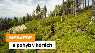 Medvede a pohyb v horách - realita a skúsenosti ako zvýšiť bezpečnosť