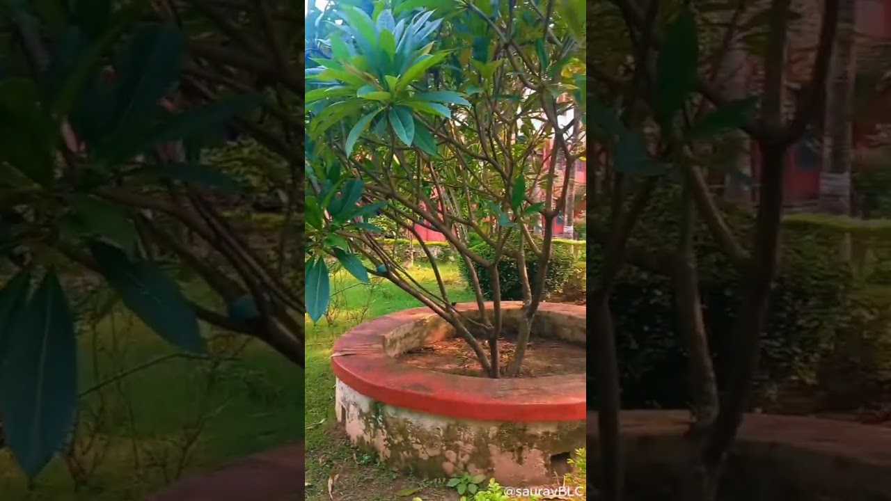 BENGAL LAW COLLEGE shantiniketan BITM BURDWAN UNIVERSITY Bengal law college BITM