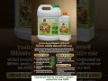 Vanita Agrochem products #Folwet #silicon with #spreder and veting #agent #agriculture tips and use