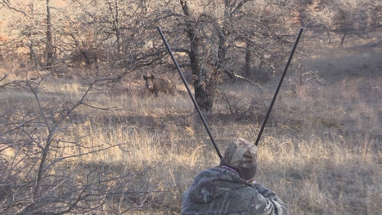 Michelle Calls A Big Boar 1.5 minutes