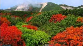 Richard Clayderman - Dust In The Wind (Released 1978 by Kansas)