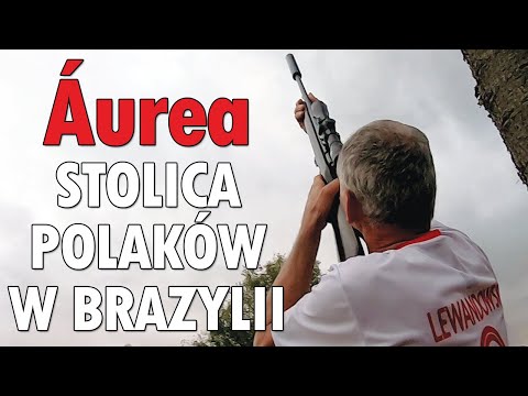 Wideo: 5 Najlepsze muzea sztuki w Brazylii