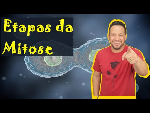 Vídeo: O que acontece na prófase metáfase anáfase telófase?