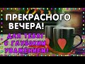 🇷🇺НОВИНКА!!! Я Желаю тебе Добрый вечер !  УЮТНОГО, НЕЖНОГО, ПРИЯТНОГО ВЕЧЕРА! ПОЖЕЛАНИЕ!!!