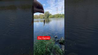 Первый улов в проводку 🎣😅 #reels #рыбалка #рекомендации  #подпишись #shorts #fishing #хит