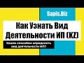 Какие Виды Деятельности Выбрать для ИП в Казахстане?