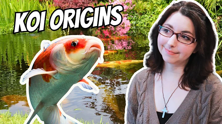 Koi Origins 🐠 History of the Koi Fish