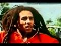 Bob Marley - New Zealand Interview 1979.flv