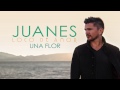 Video Una Flor Juanes