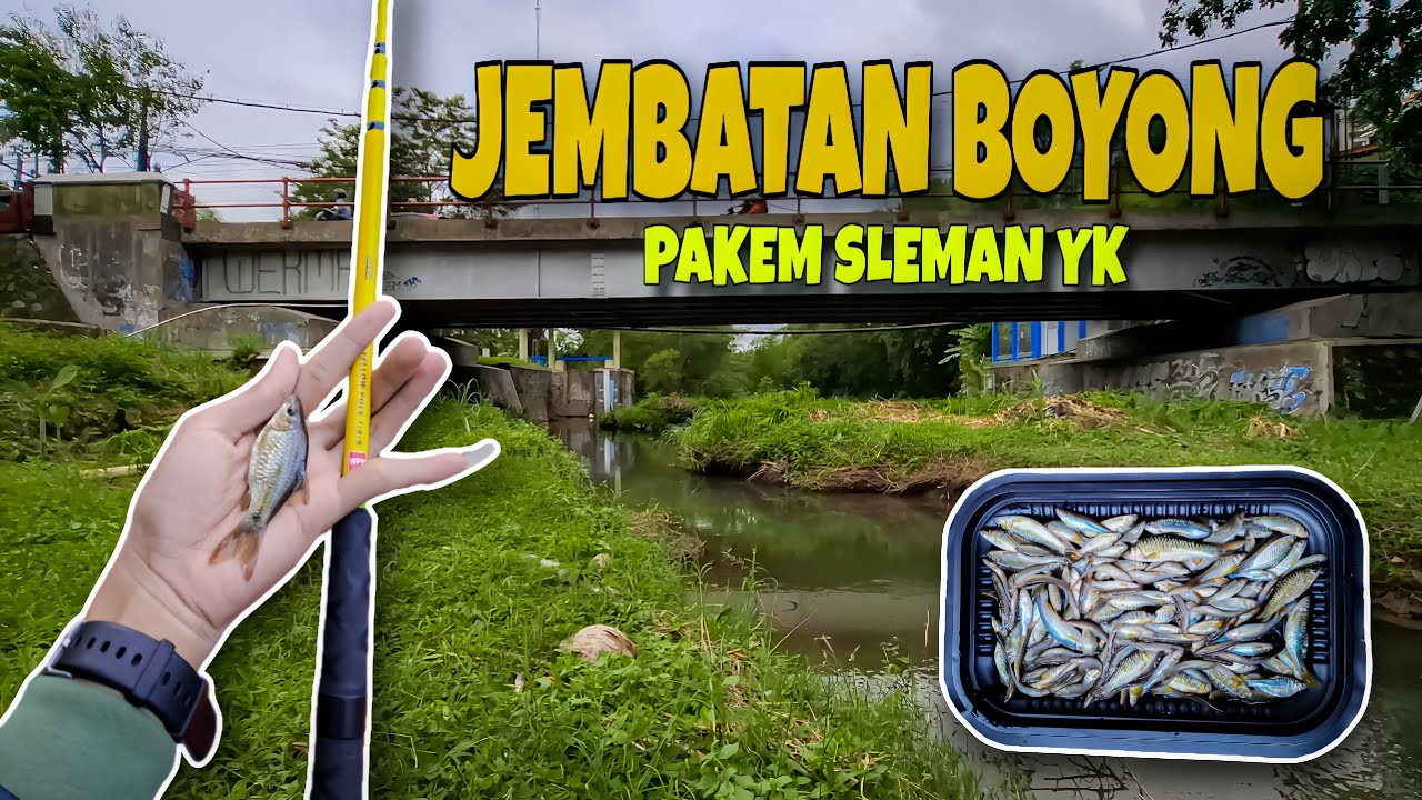 🍃 SPOT WADERAN ‼️ JL.PAKEM PULOWATU JOGJA UTARA 💚