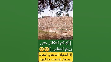 #القرآن_الكريم #تلاوة_خاشعة #آيات_بينات #قرآن #راحة_نفسية #الصيغة_المغربية #تلاوات #islam  #quran