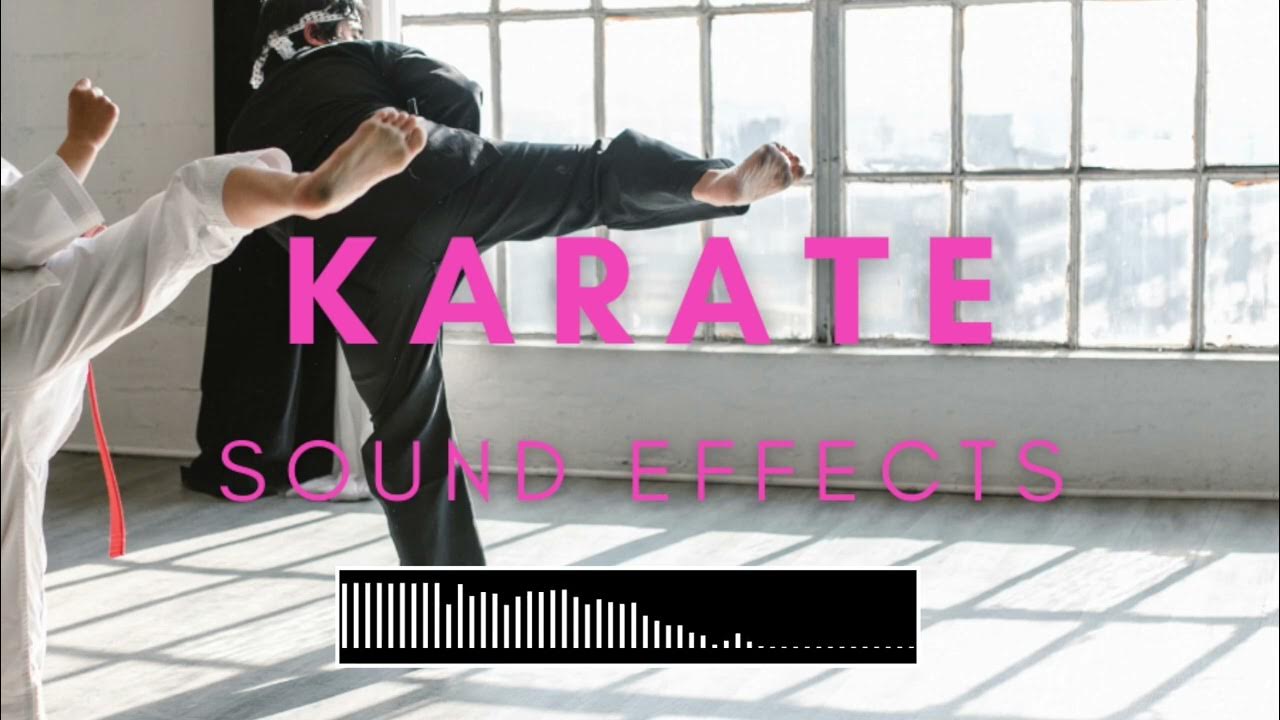 Karate Sound Effects No Copyright (Punches, Kicks, Whoosh, Voices