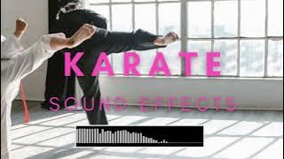 Karate Sound Effects No Copyright (Punches, Kicks, Whoosh, Voices)