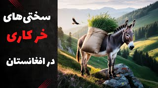 آیا می‌دانستید مردم افغانستان هنوز هم با خر کار می‌کنند؟