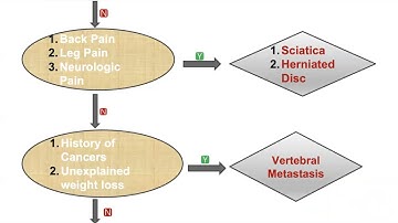 Concept maps: Approach to "A Patient with back pain”