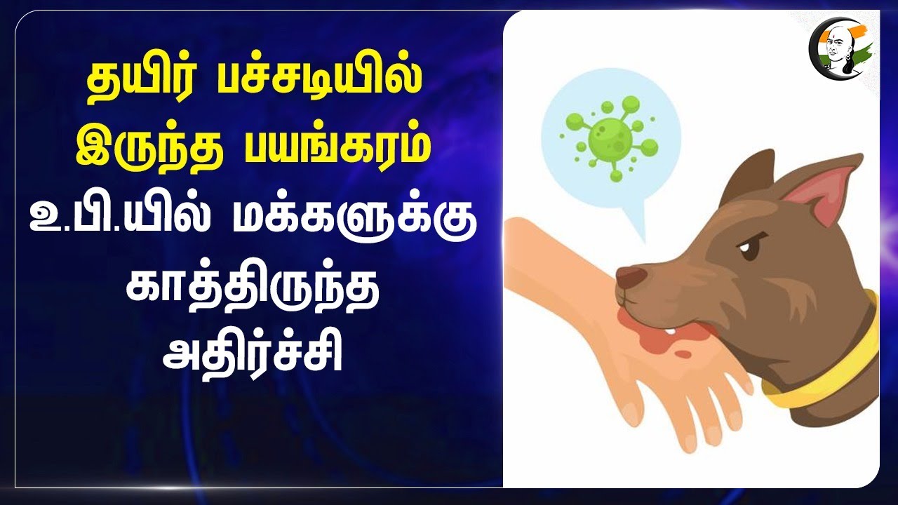 தயிர் பச்சடியில் இருந்த பயங்கரம் | Uttar Pradesh | Rabies | UP Govt Hospital | Public Safety