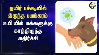தயிர் பச்சடியில் இருந்த பயங்கரம் | Uttar Pradesh | Rabies | UP Govt Hospital | Public Safety