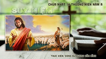 Suy niệm Tin Mừng CN Tuần 14 Thường Niên - Năm A (Mt 11, 25-30)