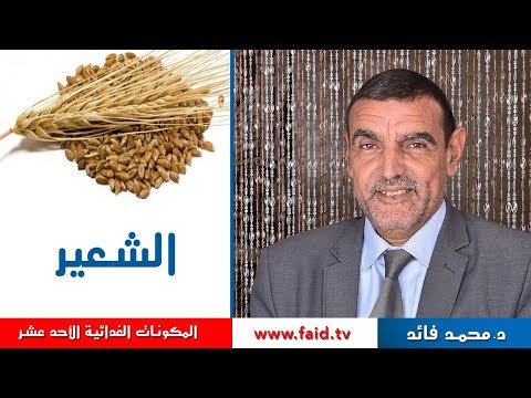 فيديو: هل يحتوي الشعير على ألياف؟