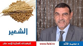 Dr faid |الشعير | النشويات | المكونات الغذائية الأحد عشر | الدكتور محمد فائد .