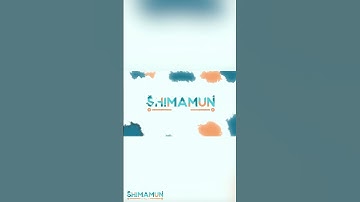 i made my own custom stinger