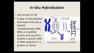 Learn it in a Minute: In Situ Hybridization