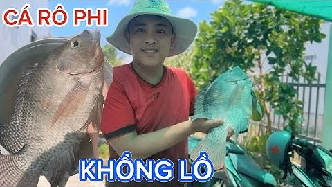 Cá Rô Phi khổng lồ - Làm món lẩu chua ngon ​⁠tuyệt vời | @Utquanmientay #cárôphi #carophi