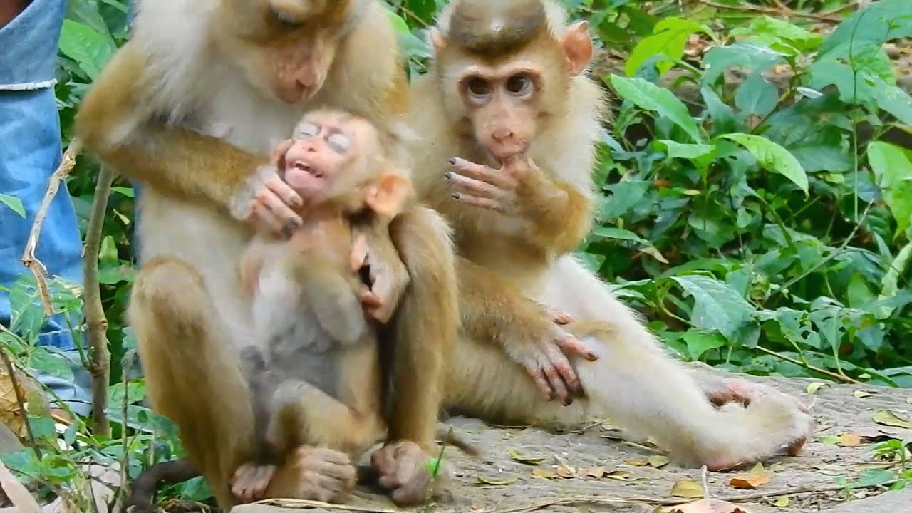 Mother Libby discipline baby Thor cry cos behavior problems, Mom feeling angry at baby Thor