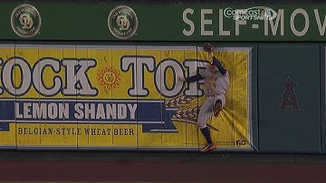 Springer makes great catch, slams into wall