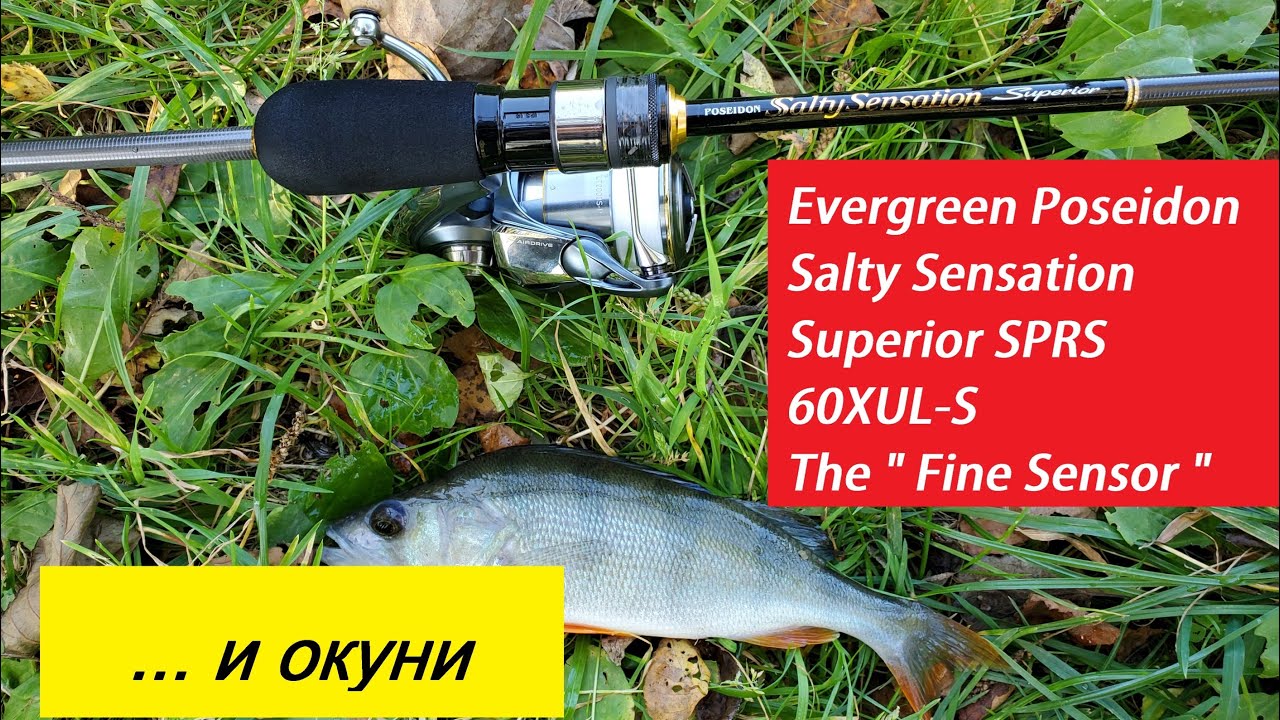 Evergreen Poseidon Salty Sensation Superior SPRS-60XUL-S Fine