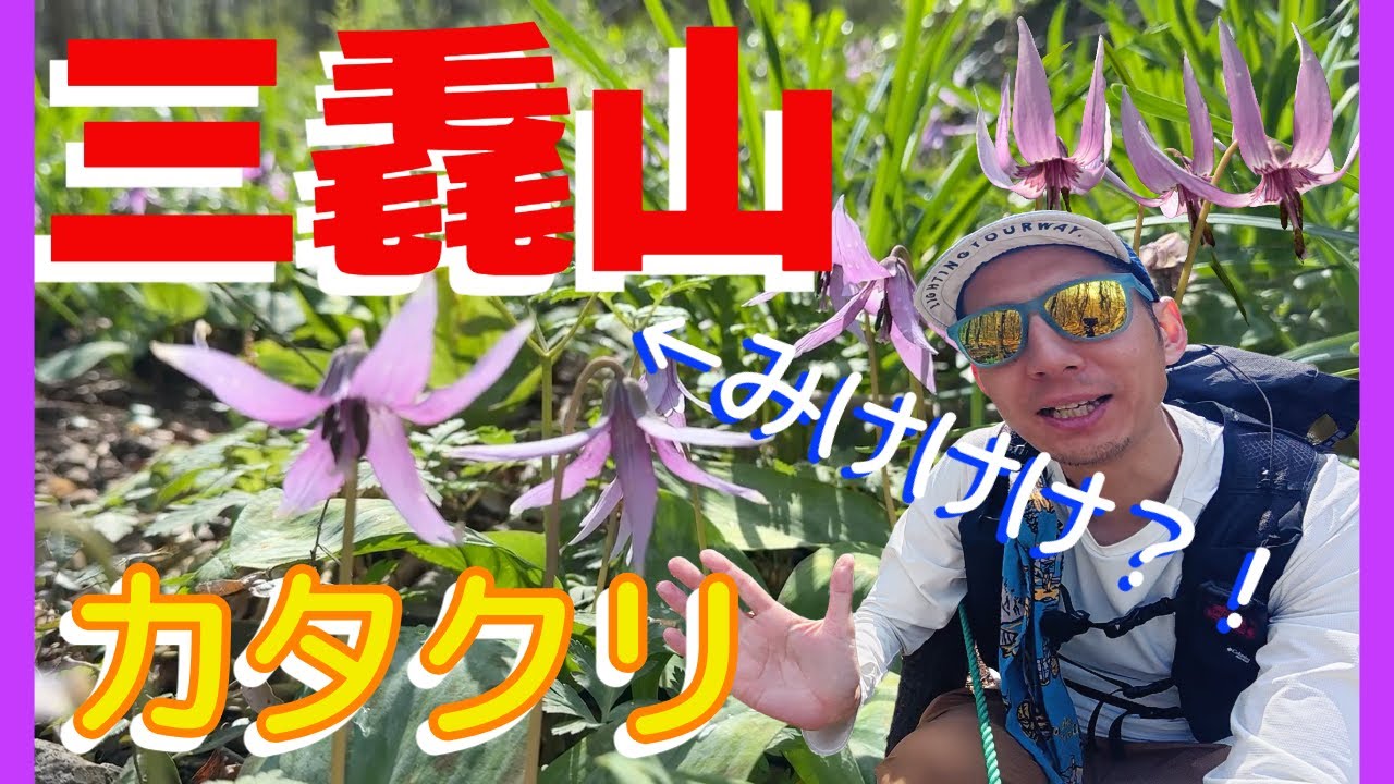 Springtime on Mt. Mikamo is full of fairies! The entire area is