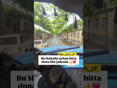 OBUNA BOʻLAMIZ #dance #rek #colonelkkjϟ #duet #dancer #music #tiktok #cat #mercedesamgsl #brabusg63